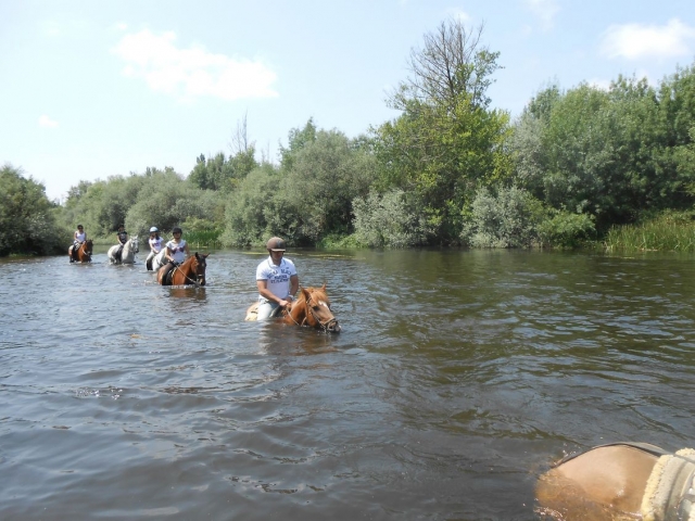 Animales de ruta por el Tormes